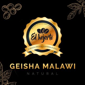 Geisha Malawi